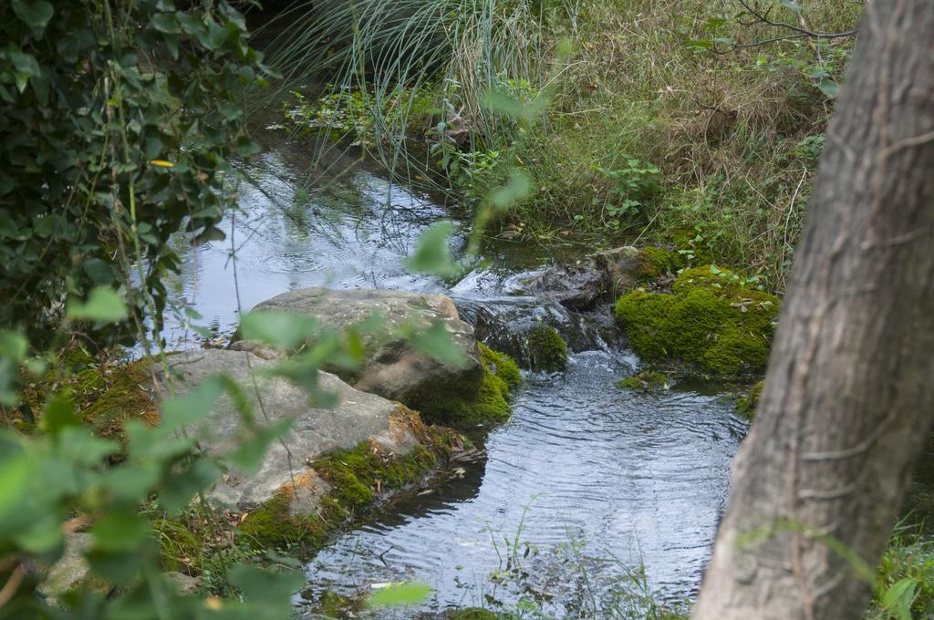 Vila La Remulla Paúls Exteriér fotografie